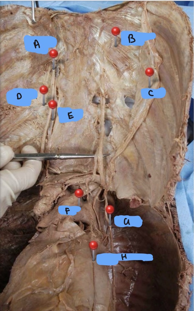 <p>NTK</p>