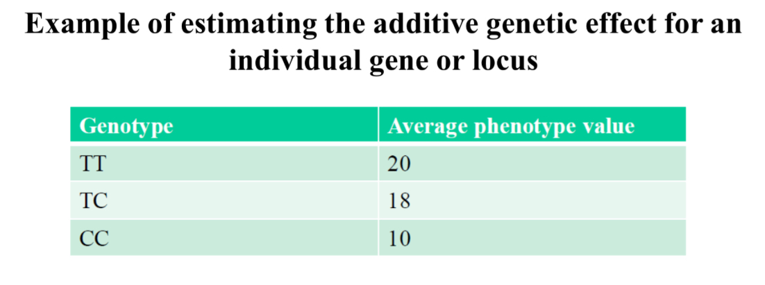 <p>Calculate additive effect of T, and C allele and dominance effect of TC And the additive genetic value based on SNP1</p>