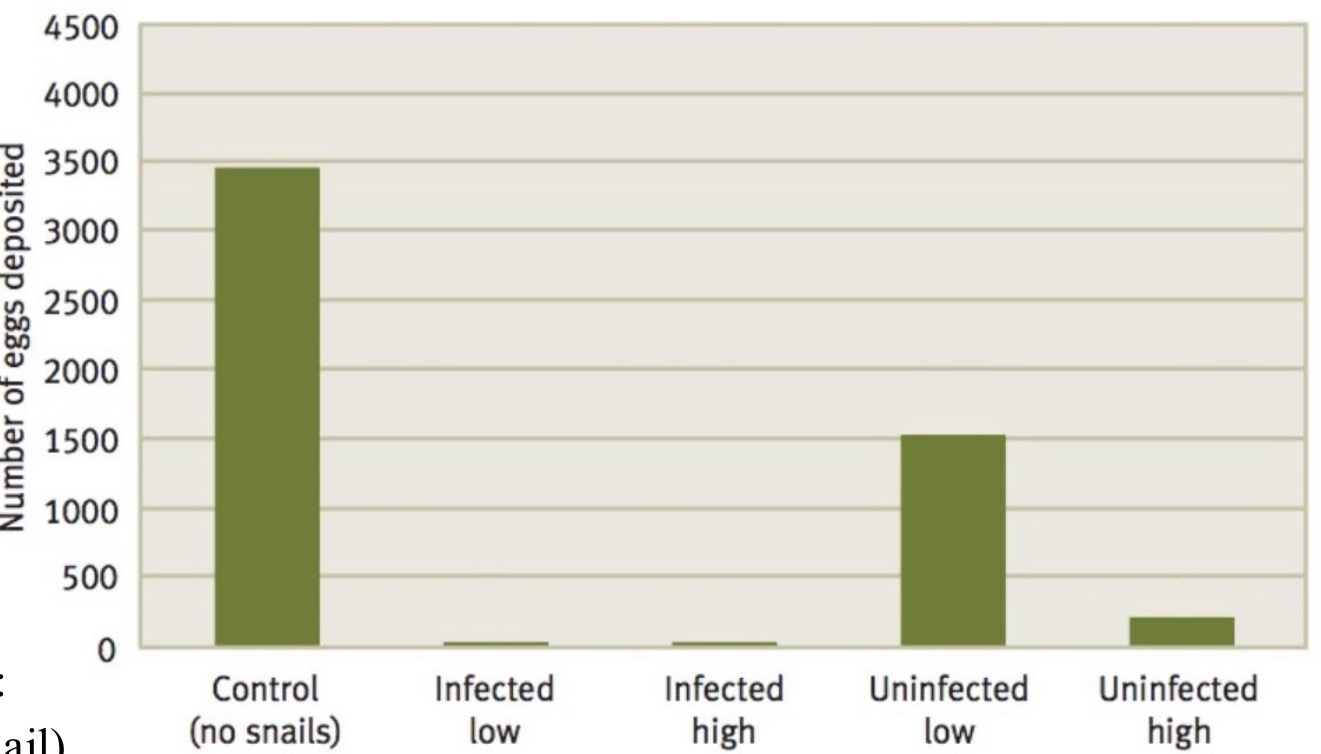 <p>Koesecker and Skelly 2000</p><p>Gray treefrogs can contract a deadly parasite from American ribbed fluke snail</p><p>Number of treefrog eggs deposited in habitat was measured where snails were not present, in different concentrations, or infected or uninfected with the parasite</p><p>Frogs deposited many more eggs in area with no snails than other habitat</p><p>Frogs deposited no eggs in areas with infected snails</p><p>Frogs deposited eggs in higher concentrations when snails were uninfected and at low concentration than at high concentration</p><p>→ Gray treefrogs avoid habitat shared with a species that may infect them</p><p>→ Gray treefrogs may be sensitive to detecting whether a snail is infected</p>