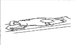 <p>what position is this?</p>