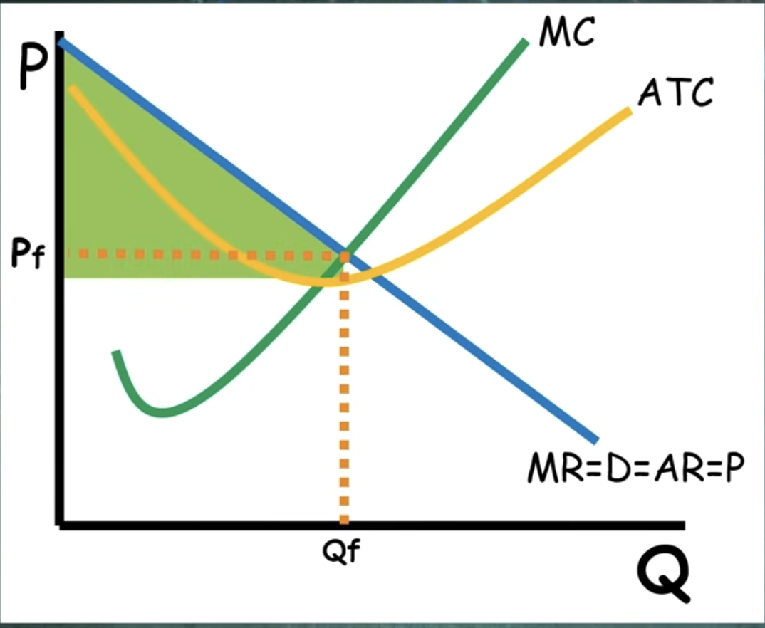 <ul><li><p>MR = D = AR = P</p></li><li><p>Allocatively efficient (no DWL)</p></li><li><p>Turn consumer surplus into profit</p></li></ul><p></p>