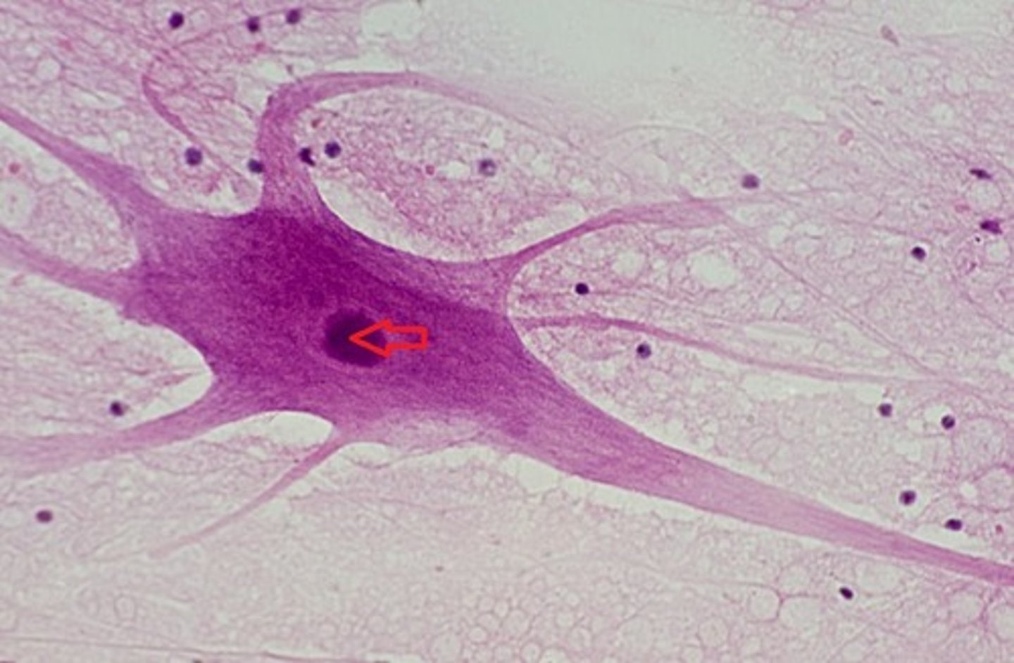<p>type of structure?</p>