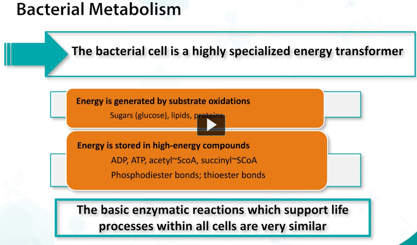 <p>Bacterial metabolism consists of catabolism and anabolism. </p><p>Catabolism involves breaking down substrate molecules, such as carbohydrates, lipids, and proteins, to generate energy rich compounds, such as ATP, and reducing equivalents such as NADH, which will be later converted into energy. </p><p>This process also produces NEW MACROMOLECULES are simply organic compounds that are building blocks for the processes that bacteria need for growth and metabolism. </p><p>Catabolism in bacteria can be aerobic or anaerobic, and they can choose from different catabolic pathways to convert substrates into their needed energy. </p>