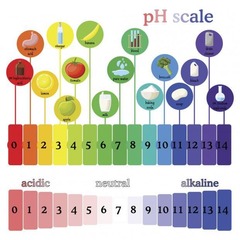 <p>The pH scale ranges from 0 to 14.</p>