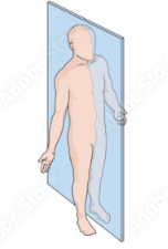 <p><strong>Sagittal plane?</strong> </p>