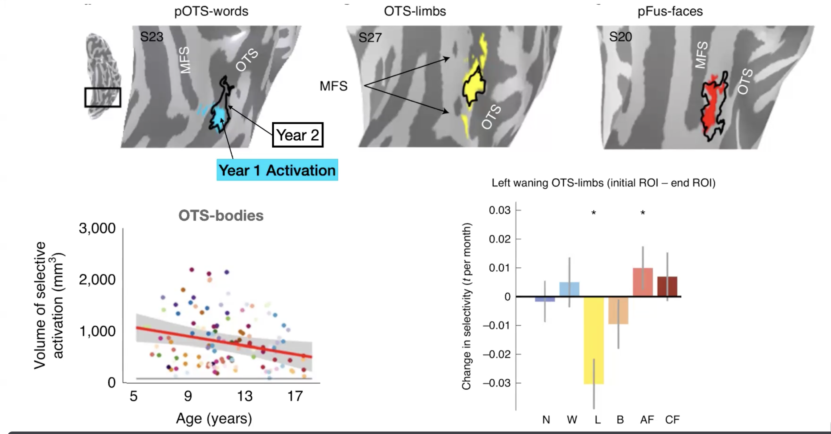 Limb area pruned, less selective - less needed