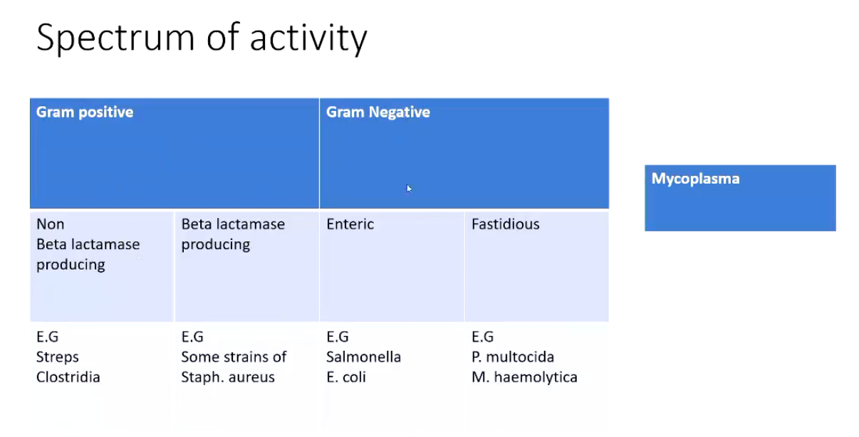 <ul><li><p>Consider <strong>spectrum of activity (Image)</strong></p></li><li><p><strong>Pharmacokinetics</strong>- How an organism affects a drug</p><ul><li><p>Does it get to where we need it?</p></li><li><p>How is it excreted?</p></li><li><p>How is it metabolised?</p></li><li><p>What is the pH?</p></li></ul></li><li><p><strong>Pharmacodynamics</strong>- How a drug affects an organism</p><ul><li><p>The mechanism of action can be really important when making clinical choices</p></li></ul></li><li><p><strong>Mechanism of Action = bacteria involved + bacteria location</strong></p><ul><li><p><strong>Bacteriostatic (stops bacteria from growing)</strong> May be preferable in situations where killing bacteria can cause harm such as endotoxic shock</p></li><li><p><strong>Bactericidal (actively kills the bacteria)</strong> Advantageous in animals which are immunosuppressed or neonatal animals</p></li><li><p>• In many situations either is fine</p><p>• This can sometimes be affected by dose</p></li></ul></li><li><p><strong>Licensing and Withdrawals</strong></p><ul><li><p>Check your data sheets!</p></li><li><p>Are there products licensed for this use in this species?</p></li><li><p>These are food producing animals</p><ul><li><p>withdrawal periods are critical</p></li></ul></li><li><p>If there is no licensed product we have access to the cascade</p></li></ul></li><li><p><strong>Practicalities</strong></p><ul><li><p>Route of administration</p></li><li><p>Duration of Action</p></li><li><p>Volume of administration</p></li><li><p>Cost</p></li></ul></li><li><p><strong>Responsible use of antibiotics</strong></p></li><li><p><strong>Length and Course - long acting or daily</strong></p></li><li><p><strong>Withdrawal Periods</strong></p></li></ul><p></p>