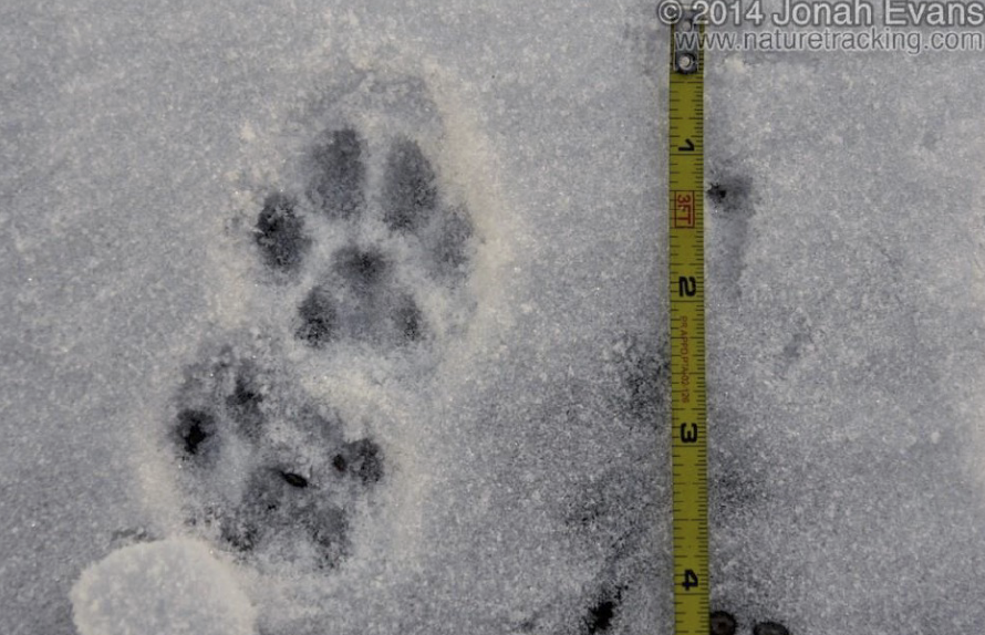 <p>What tracking perspective is this?</p>