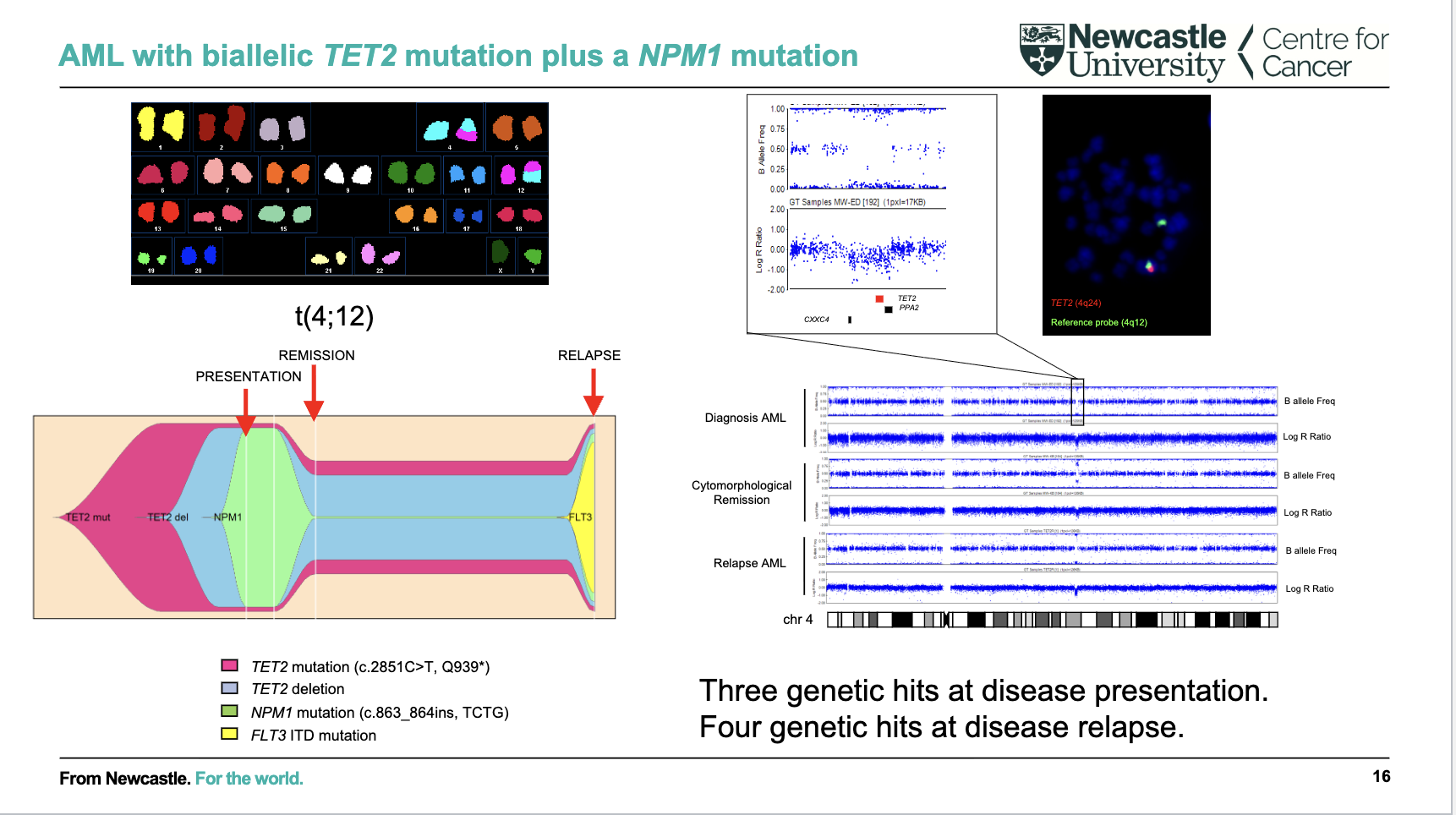 <p>What does this AML example show about mutation accumulation over time?</p>