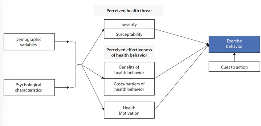 <p>A model that explains and predicts health behaviours based on individual attitudes and beliefs.</p><p>It is based on 2 key components:</p><ol><li><p>Individual desire to avoid illness or get well in case of current illness</p></li><li><p>Individual believes that an exact health act might avoid or treat illness</p></li></ol><p></p>