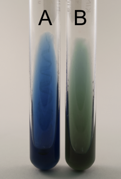 <p>What is the name of the test, purpose, media used, inoculation guide, incubation, theory and result?</p>