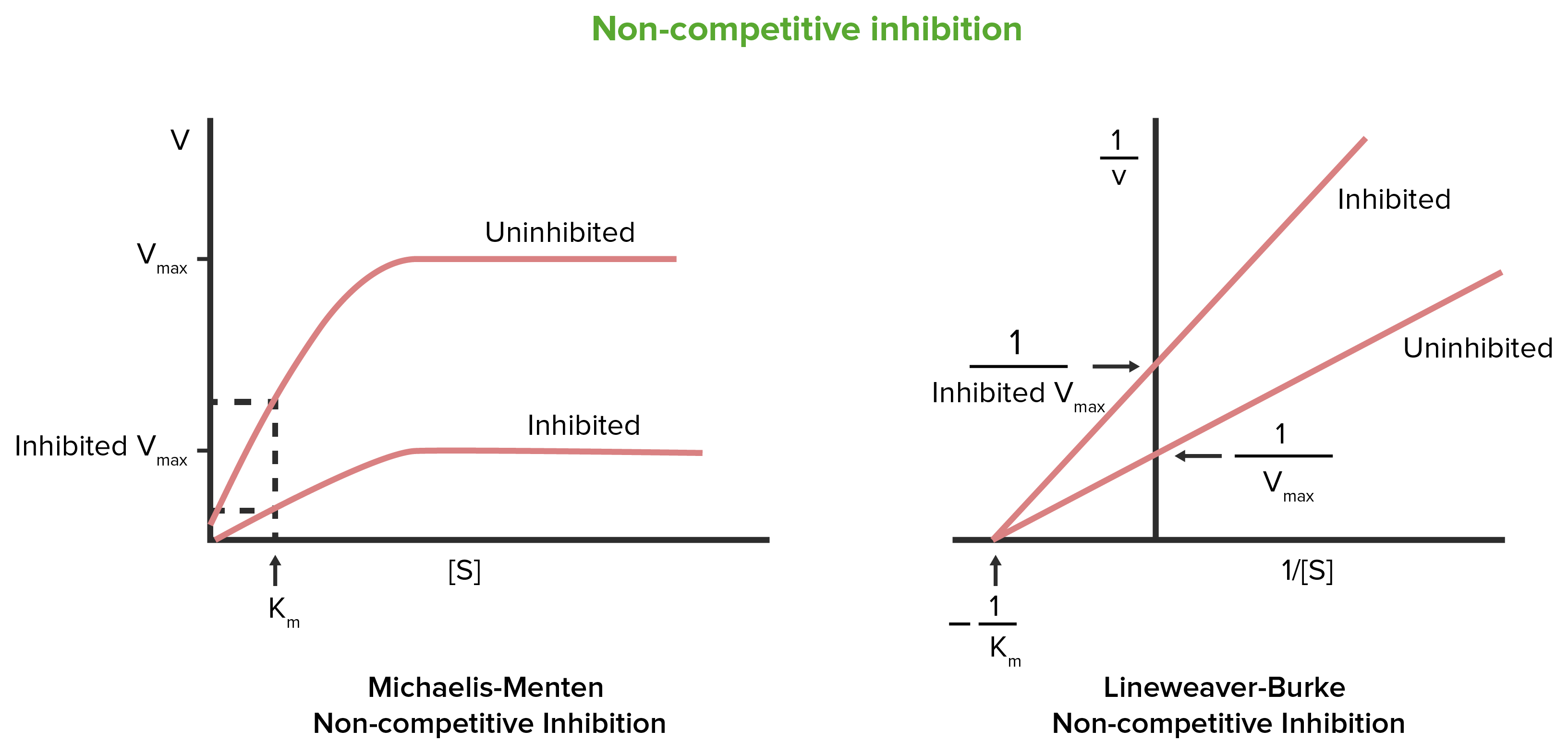 <p>Binds at allosteric site</p><p>↓ enzyme activity</p><p>↓ Vmax</p><p>Km: unchanged</p><ul><li><p>Increasing substrate cannot overcome inhibition</p></li></ul><p></p>