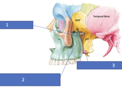 <p>Identify the structure at GWS</p>