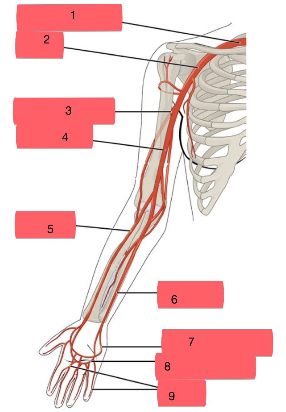 <p>label structure 5-9</p>