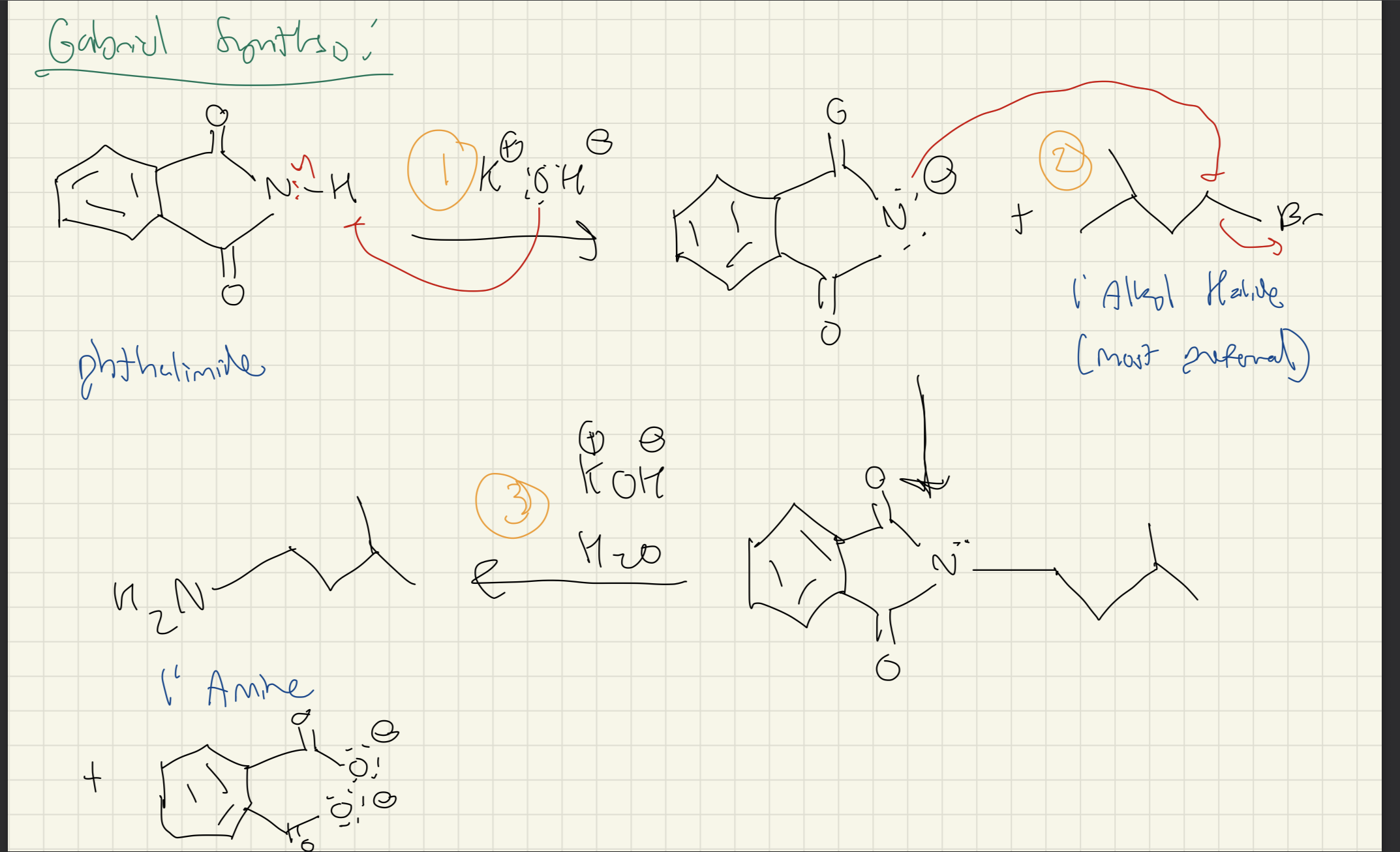 <p>Pthalimide → R-NH2 + PhthalimideCOO-</p>