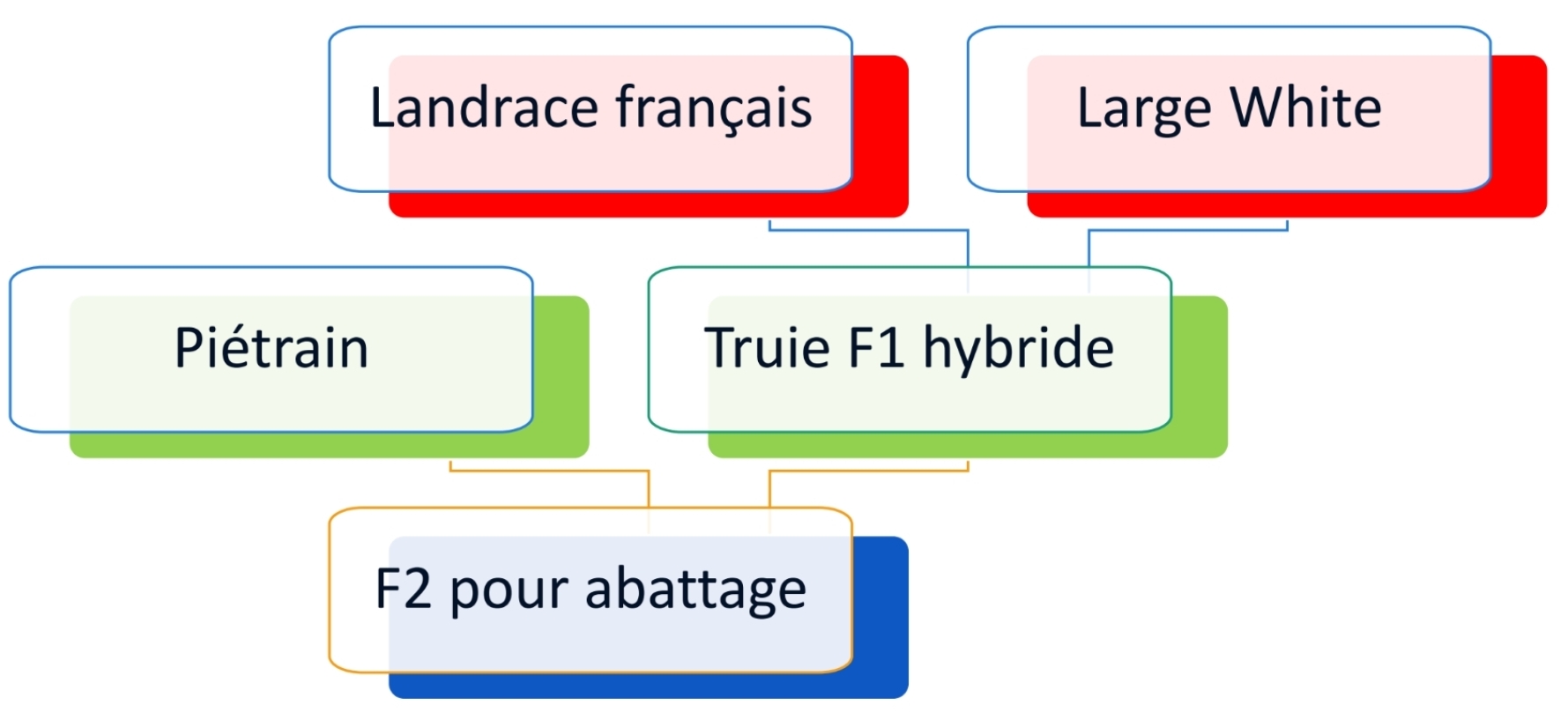<p>avantages croisment industriel</p>