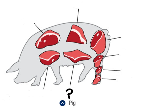<p>What is this cut of meat?</p>
