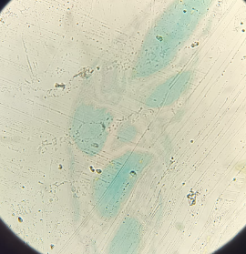 <p>What is this?</p>
