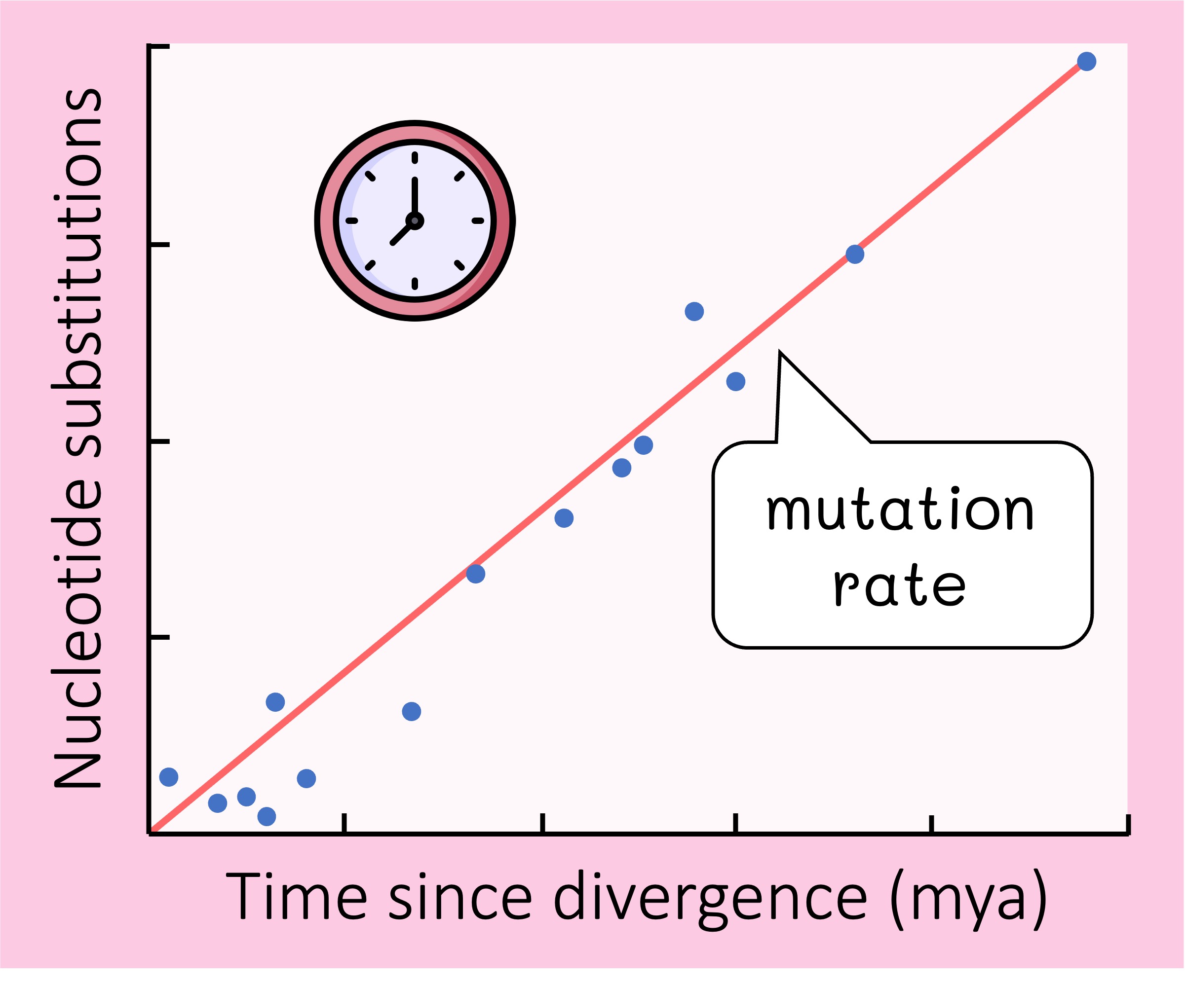 <p>Determining the timespan of a phylogenetic tree</p>