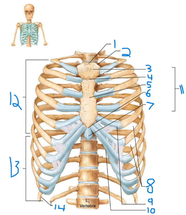 <p>What is 12</p>