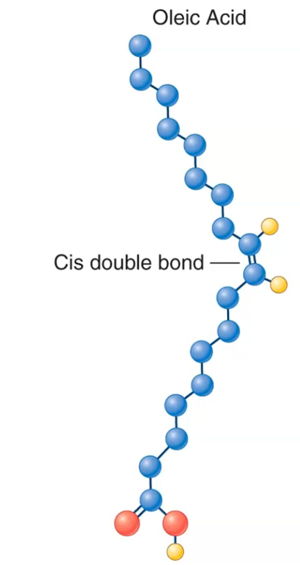 <p>When the remaining hydrogen atoms are on the same side of the double bond.</p>