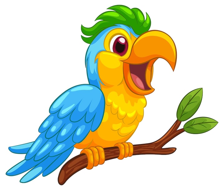 <p>El loro</p>
