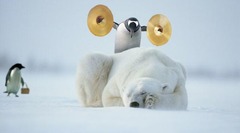 <p>1) Don't need to warm up in the morning </p><p>2) Avoid predation more easily </p><p>3) Can move more quickly </p><p>4) Can love in colder climates </p><p>5) Can digest food more quickly</p>