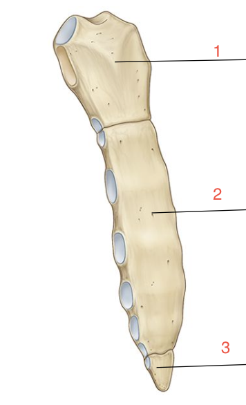 <p>2</p>
