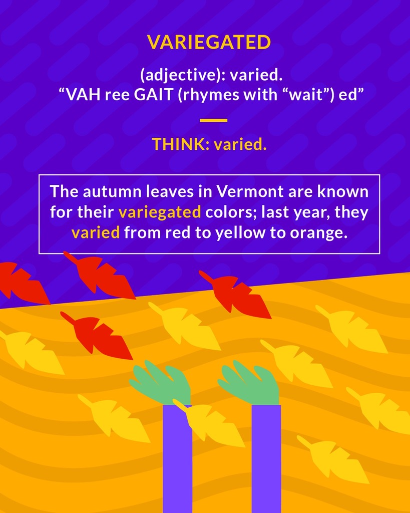 <p>varied as to form, type, or color</p>