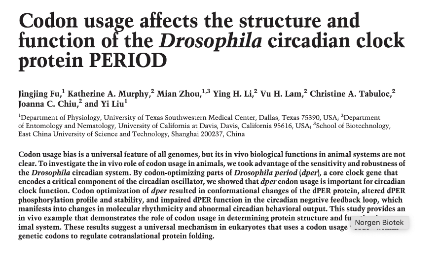 <p>codon usage affects the structure and function of the Drosophilia circadian clock protein PERIOD</p>