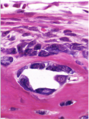 <p>What does this image show?</p>