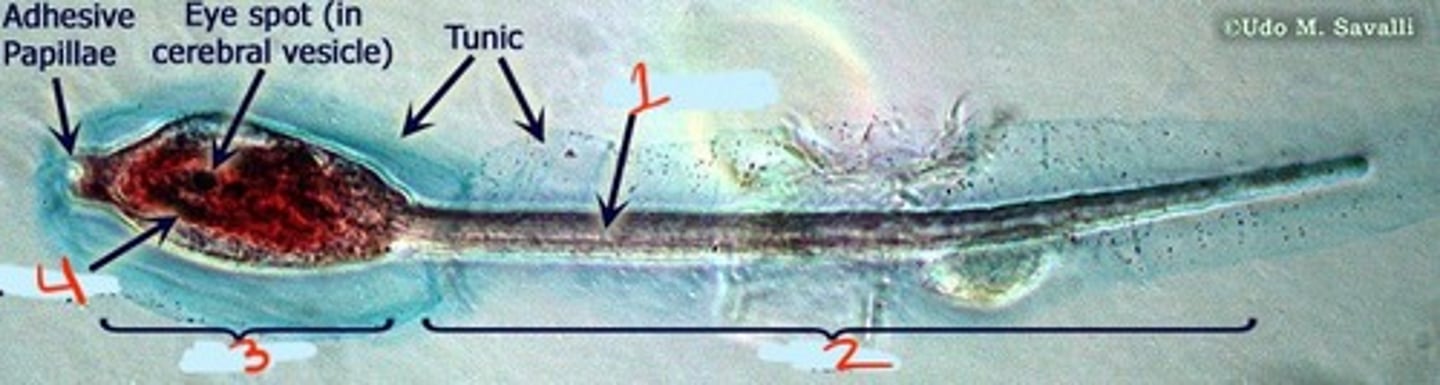 <p>what is 3?</p>