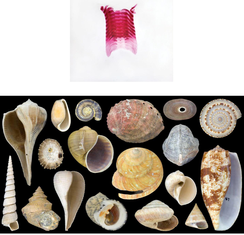 <p>What is this? Class?</p>