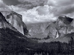 <p>The photographs shown are MOST closely associated with the work of:</p>