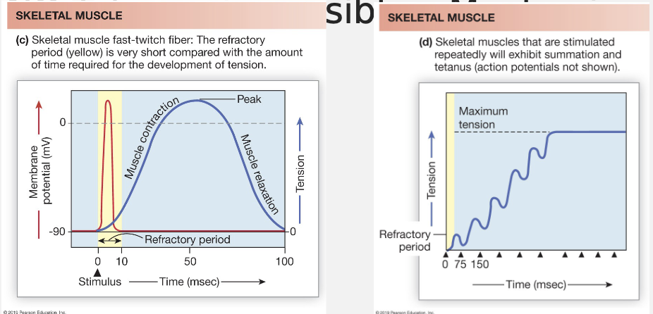 <p>Mechanical Activity</p>