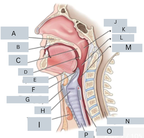 <p>label anatomy</p>