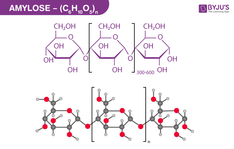 Unbranched chain of alpha-glucose with 1,4 glycosidic links; coils into a helix stabilized by hydrogen bonds.