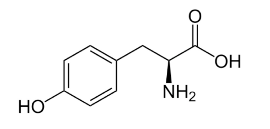 <p>What is this amino acid?</p>