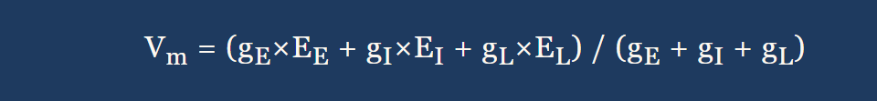 <p>The Dendritic Equation: g<sub>E</sub>, g<sub>L</sub>, g<sub>I </sub></p>