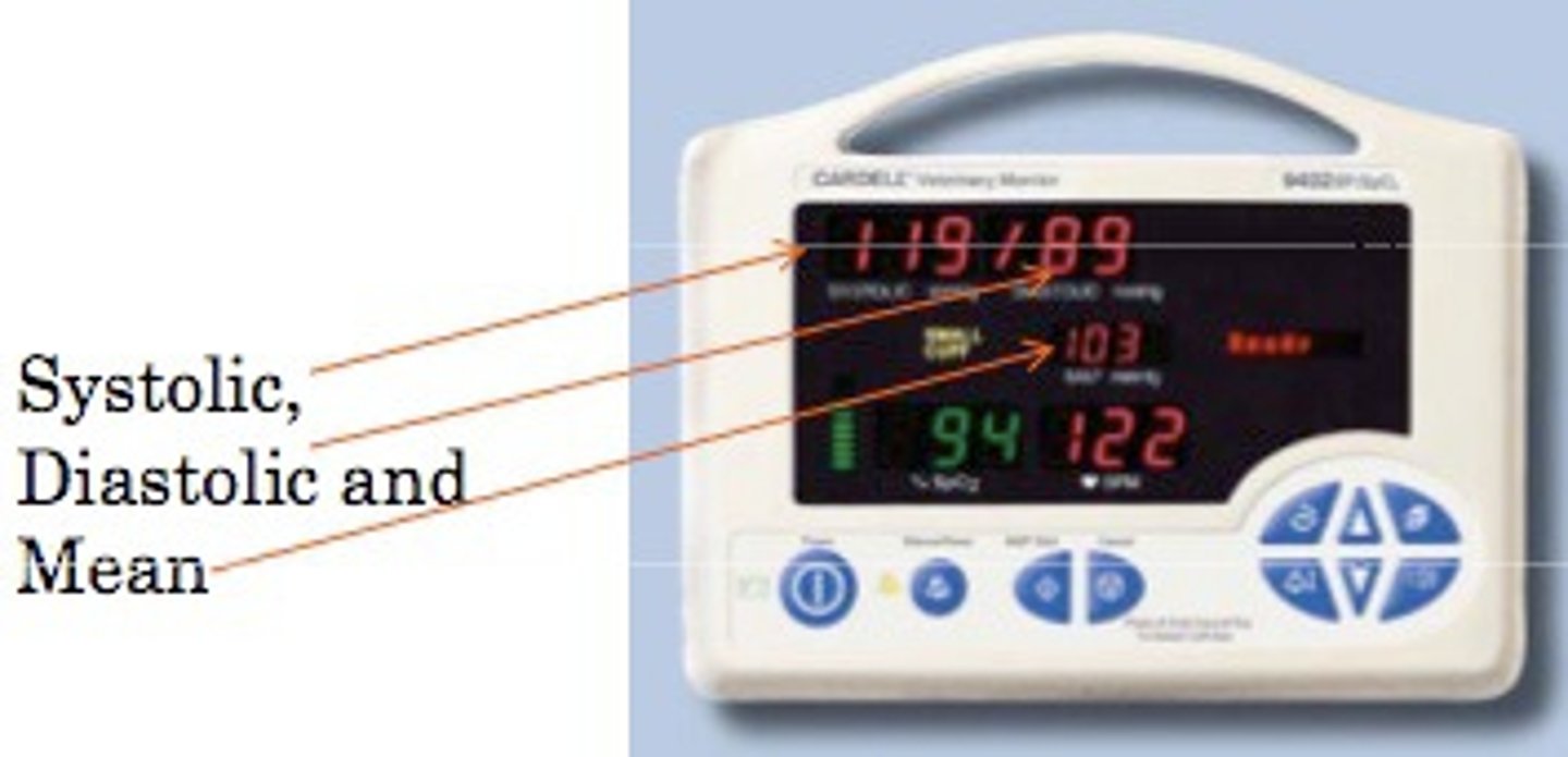 <p>Pressure exerted by the blood upon the walls of the blood vessels, especially arteries, usually measured by means of a sphygmomanometer and expressed in millimeters of mercury.</p>
