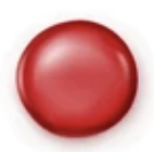 <p><strong>Spherocytes</strong></p>