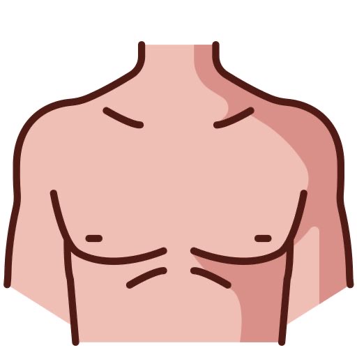 <p>the chest </p>