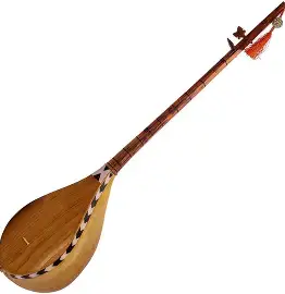 <ul><li><p>long neck lute</p></li><li><p>3 strings w/ chromatic fretz</p></li><li><p>sympathetic strings</p></li><li><p>“Aushari” Aziz Harawi</p></li></ul><p></p><p></p>