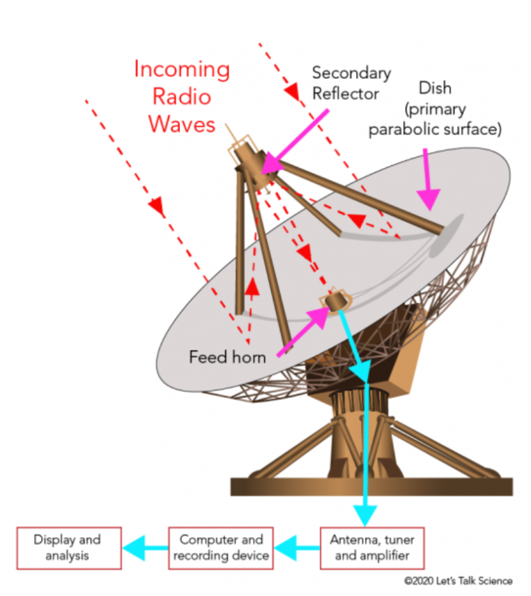 <ul><li><p><span style="background-color: transparent;">A radio telescope consists of a large, bowl-shaped dish that acts as a parabolic reflector, focusing incoming radio waves to a point. </span></p></li><li><p><span style="background-color: transparent;">This design often includes a secondary amplifier and a feed horn to sharpen the focus. </span></p></li><li><p><span style="background-color: transparent;">At the feed horn, an antenna converts the radio waves into an electric  current by causing electrons to move. The electronics, often cooled with liquid nitrogen or  Helium, reduce noise to detect weak signals more effectively.&nbsp;</span></p></li><li><p><span style="background-color: transparent;">The larger the dish, the more waves to be collected and so the larger the resolution. </span></p></li><li><p><span style="background-color: transparent;">These are also normally farther from developed areas as radio waves from phones and other electronic devices can interfere with signals.&nbsp;</span></p></li></ul><p></p>
