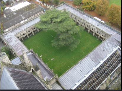 <p>An enclosed rectangular space in a monastery, usually an open, garden court</p><p>surrounded by roofed passages on all four sides. In a monastery, the cloister connects the</p><p>church to the domestic structures.</p>