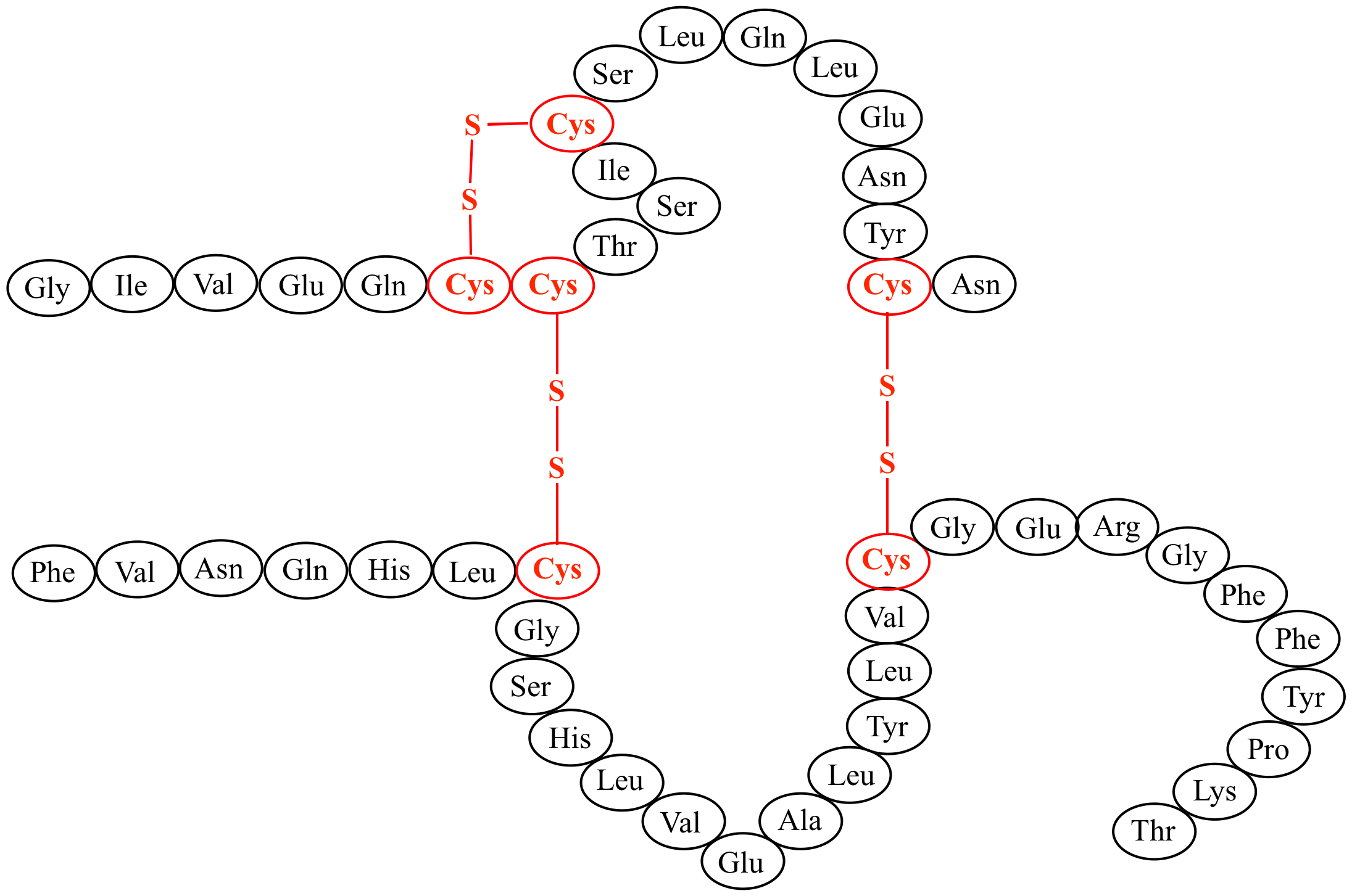 <p>Strong covalent bond between the sulfur atoms of two cysteine R groups. Strongest force stabilizing tertiary structure.</p>