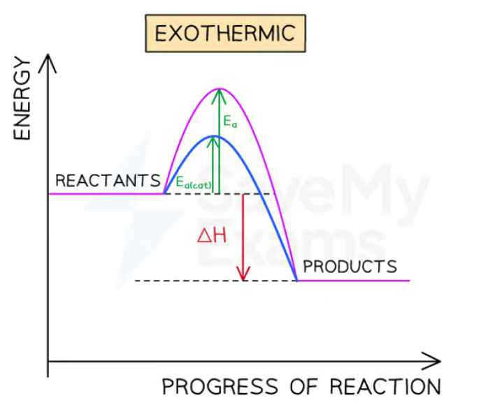 <p>Catalysts lower the activation energy</p>