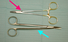 <p>ID the tool (blue arrow):</p>