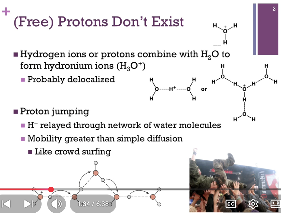<p>Instead, protons combine with water to form hydronium ions (H3O+).</p><p>Concentration of H+ = concentration of H3O+. H+ - relayed through network of water molecules (water = highly hydrogen bonded AND readily changes partners so that proton can move from one water molecule to another very rapidly; mobility is much greater than would be if simple diffusion). Protons crowd surf water molecules! </p>
