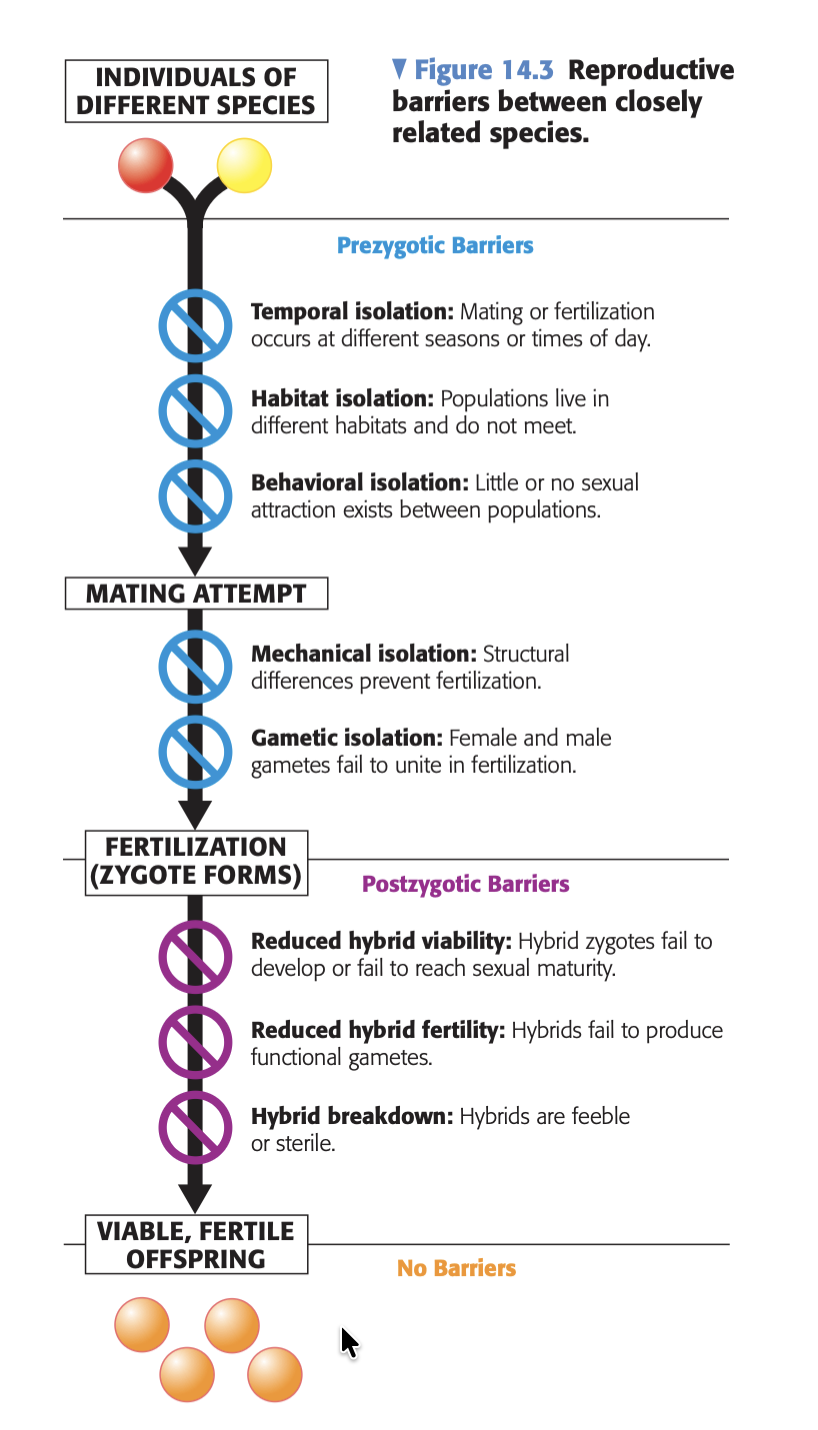 <p>post-zygotic barrier</p>